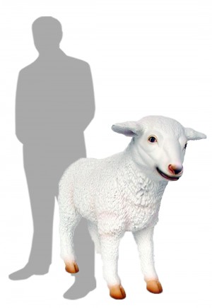 Lamb 