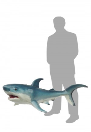 Pale Blue Shark