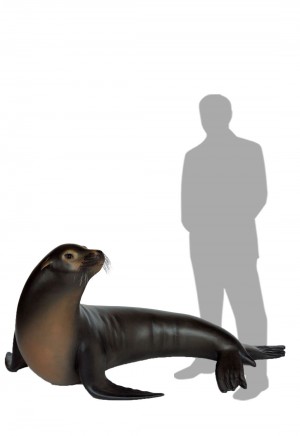 Sea Lion