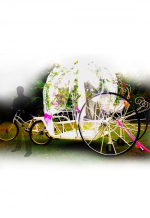 Wedding Carriage