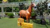 Brown Horse