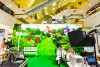 Flower Garden Display 