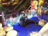 Sea Lion