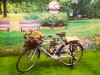 Summer Garden Package
