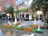Classic Garden