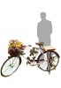 Garden Bicycle